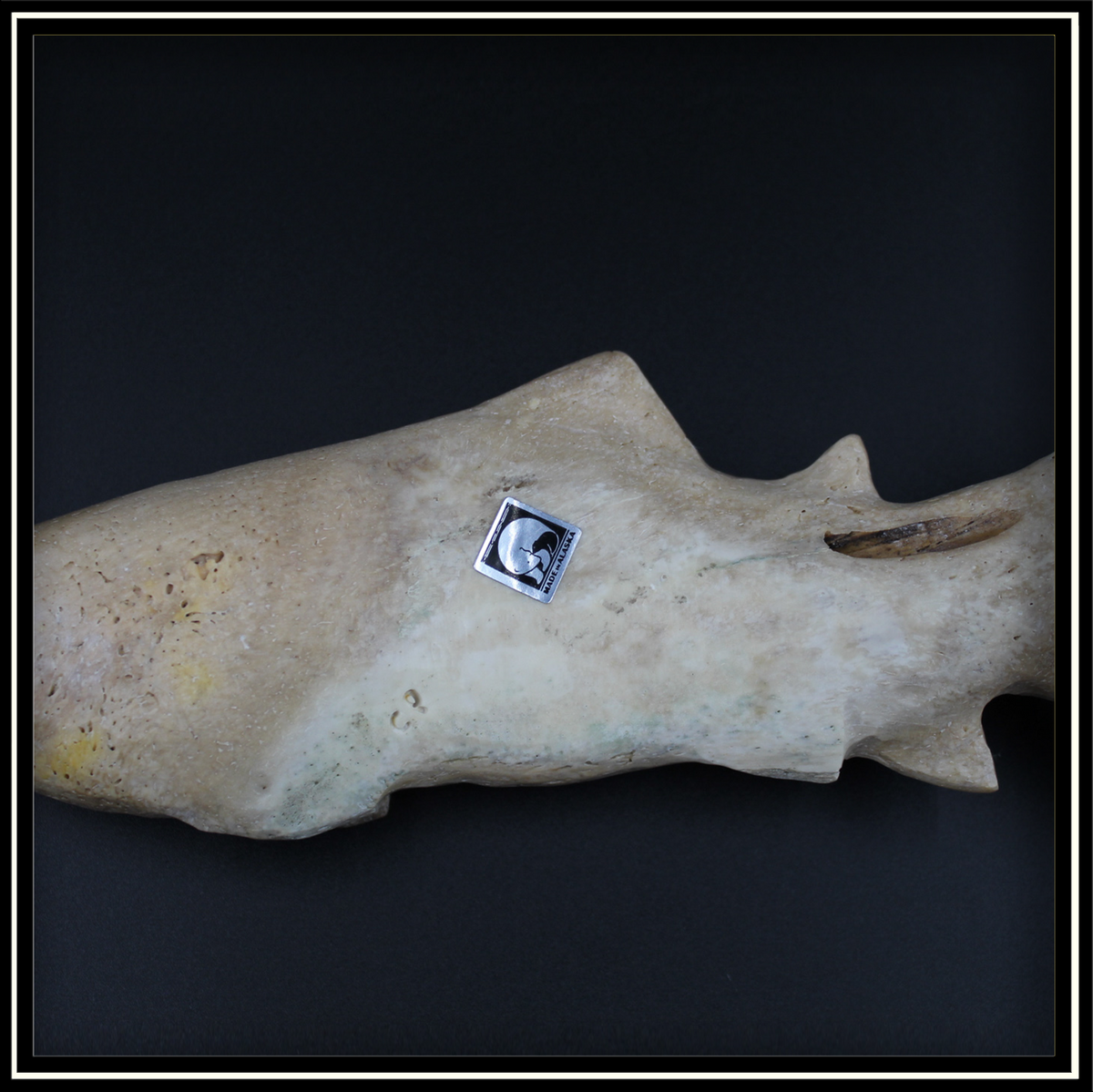 Salmon Cribbage Board Alaska Best Shopping