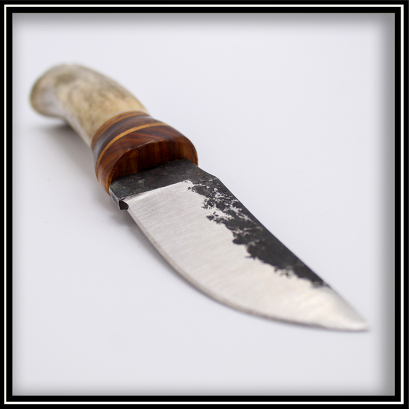 Fixed Blade Knife