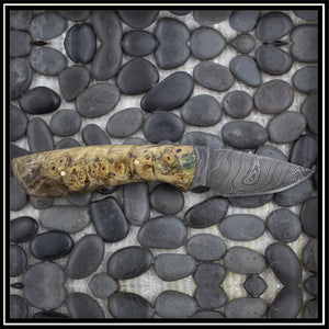 Little Bear Knife