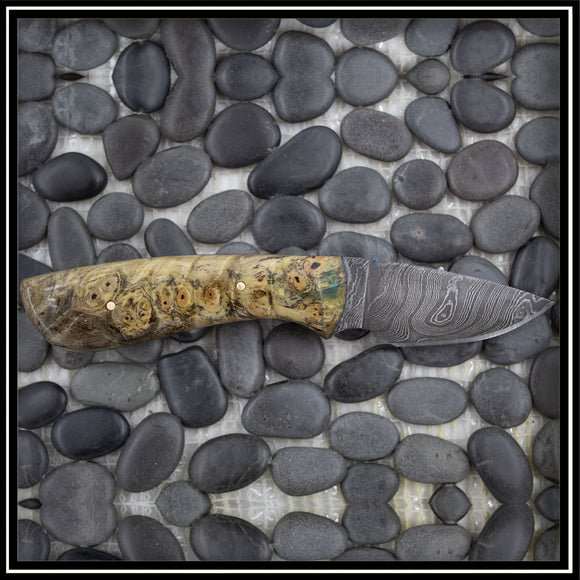 Little Bear Knife