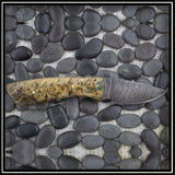Little Bear Knife