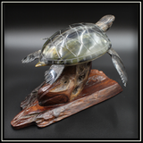Horn Turtle on Rosewood Base