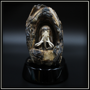 Mammoth Tooth on Obsidian Base