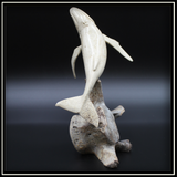 Whale Humpack