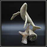 Whale Humpack