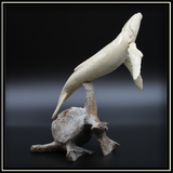 Whale Humpack