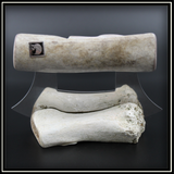 Moose Antler Ulu Knife